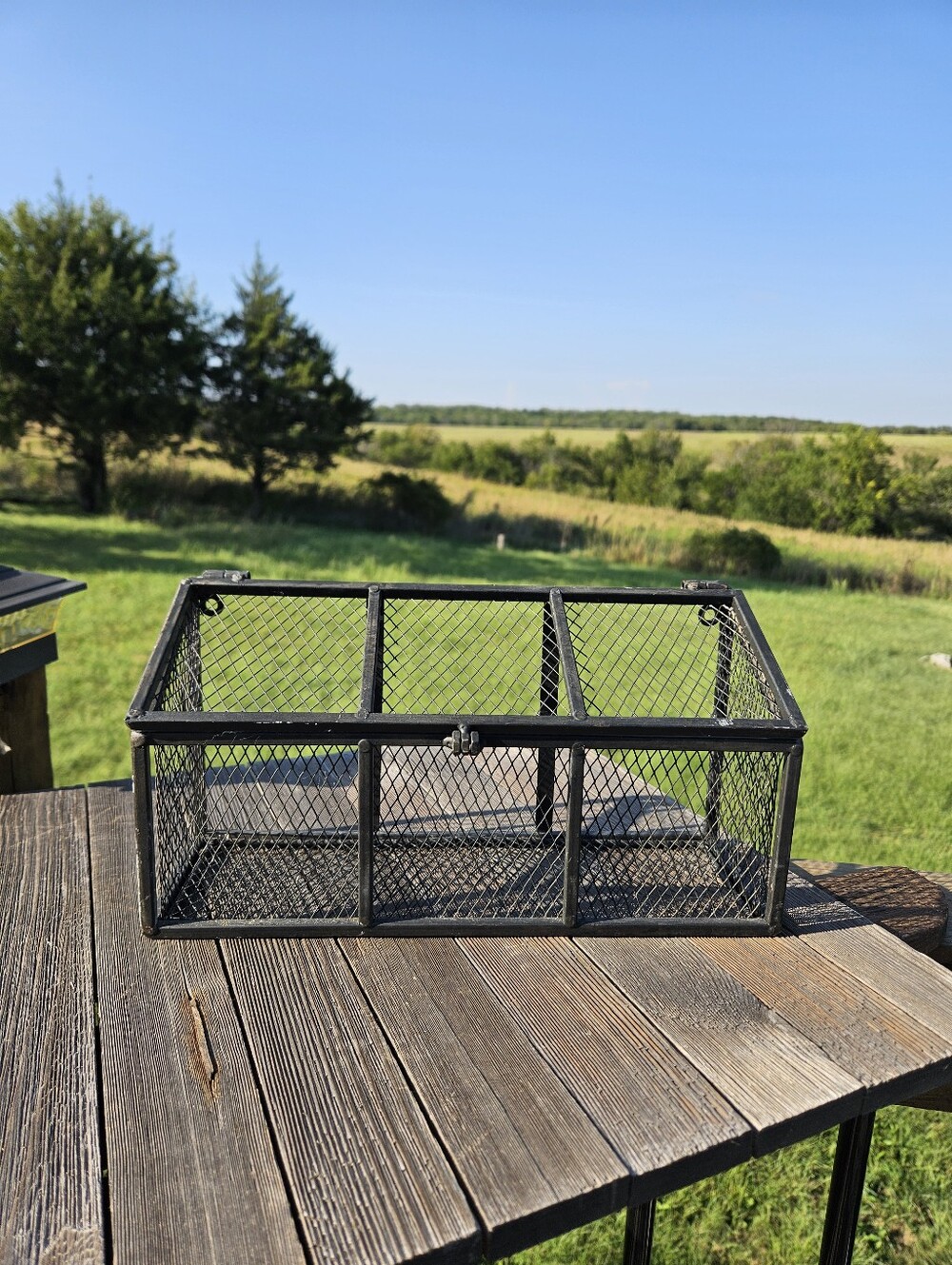 Rustic Black Wire Mesh Wall Mount Storage Basket 3 Compartment Fruit Spice Bin